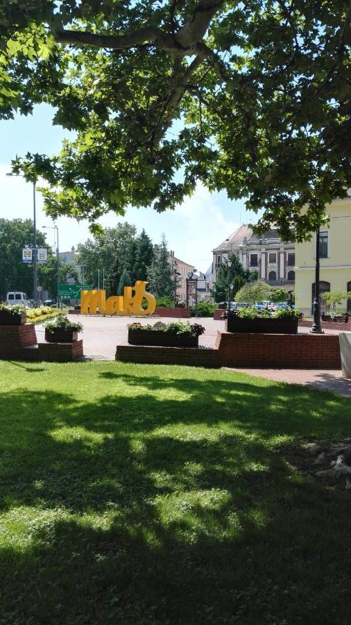 Blue Apartman Apartman Makó Kültér fotó